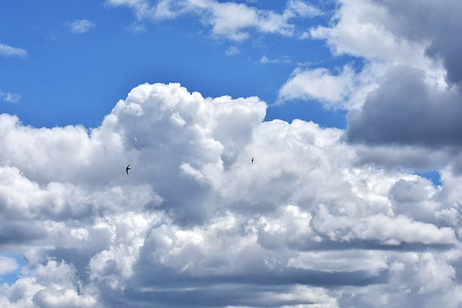 cloudy skies, Clouds, Nature, sky, cloudiness, covered sky HD wallpaper