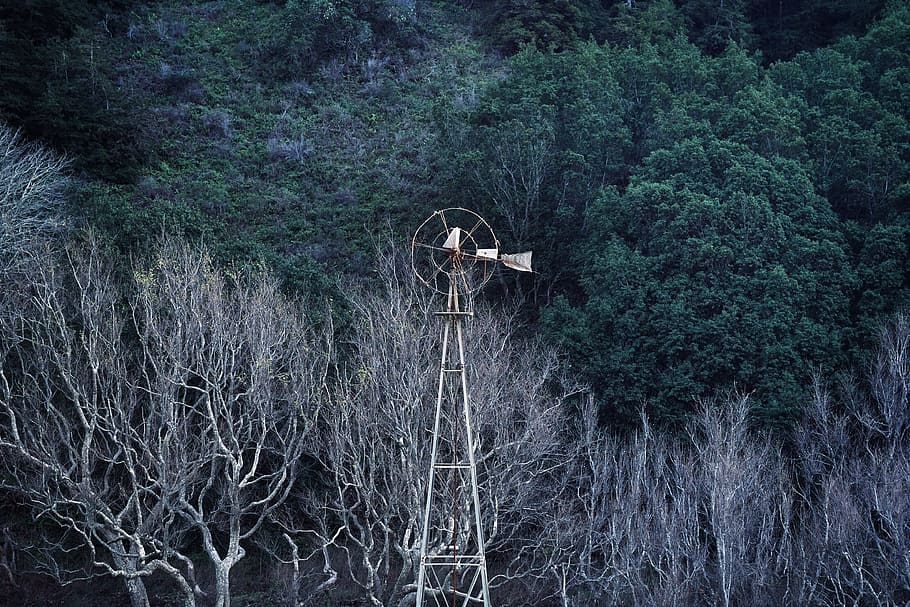windmill, vintage, trees, forest, nature, plant, growth, land HD wallpaper