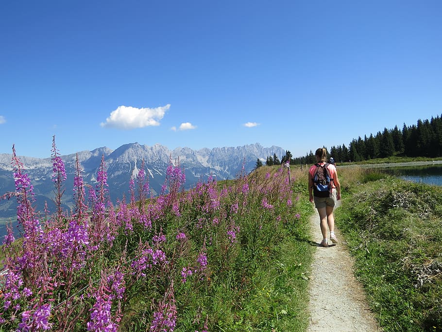 austria, hiking, mountains, backpack, tyrol, nature, flowers, HD wallpaper