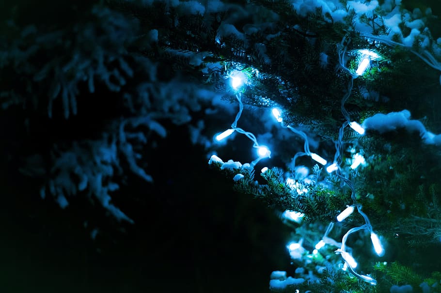 christmas, lights, tree, night, dark, winter, water, sea, underwater HD wallpaper
