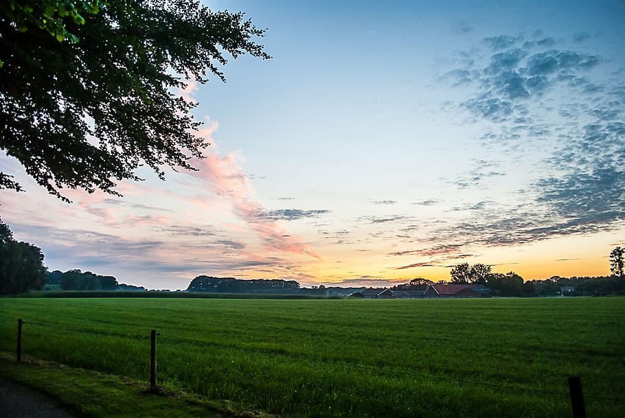 nature, landscape, clouds, meadow, trees, sunset, rural Scene HD wallpaper
