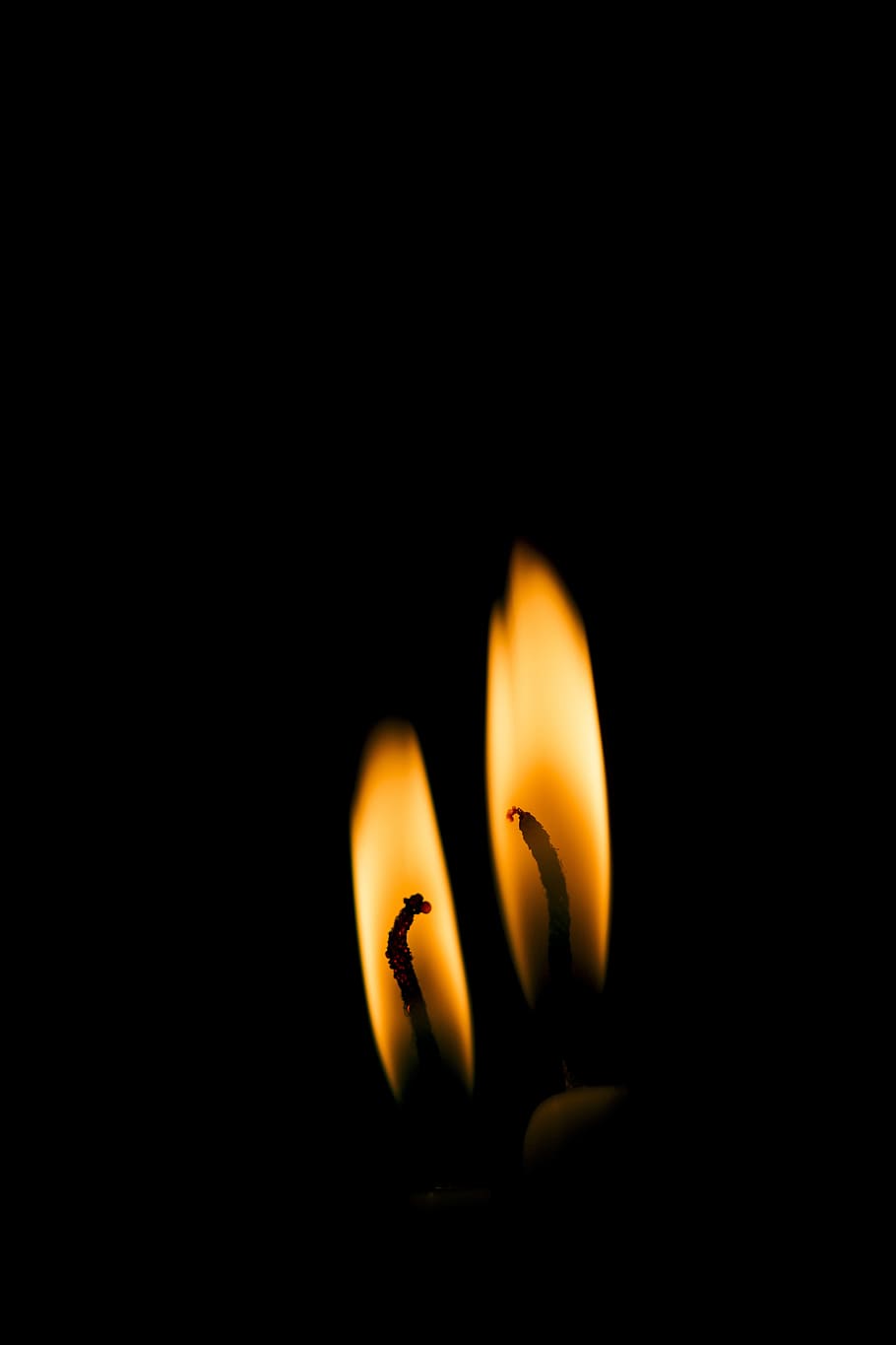 flame, burn, burnt, flammable, dark, candle, meditation, night HD wallpaper