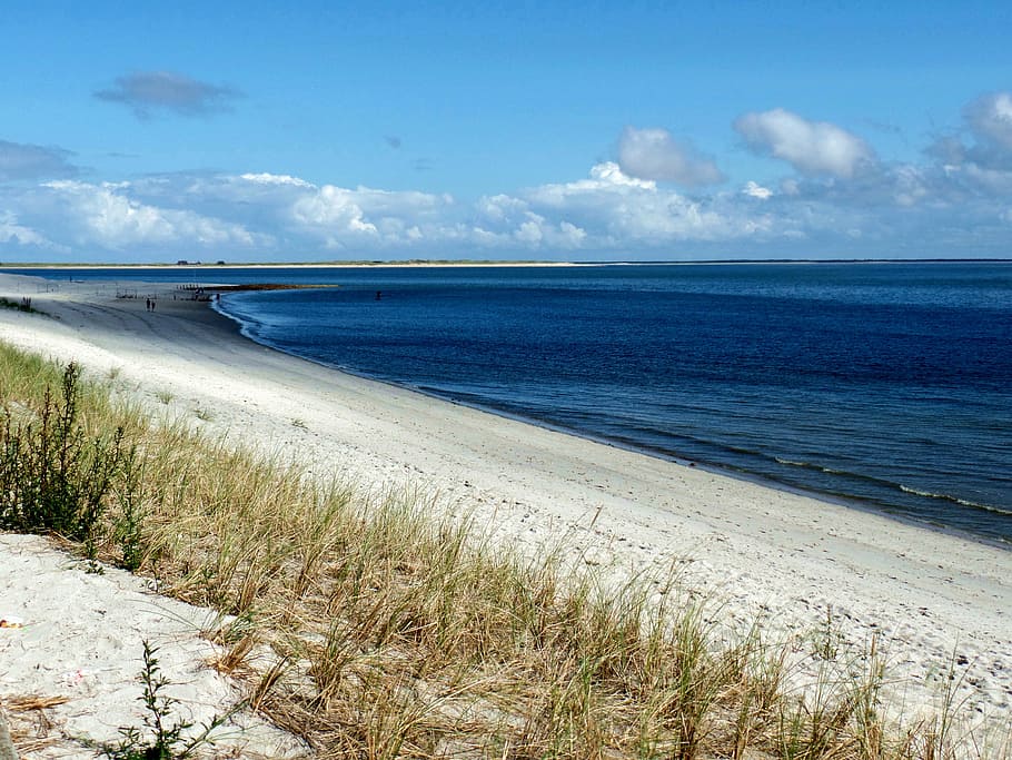 brown grass near shore during daytime, beach, sylt, ellen, elbow HD wallpaper