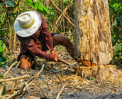 man cutting tree trunk, Lumberjack, Man, Axe, Exhausting, Work HD wallpaper