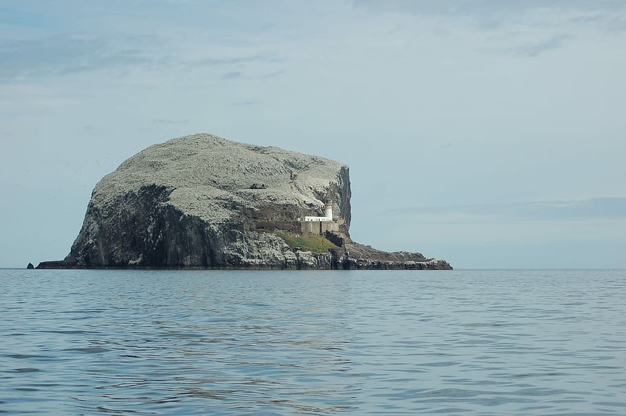 Bass Rock, Rock, Island, Lighthouse, Water, sea, seascape, scenic, HD wallpaper
