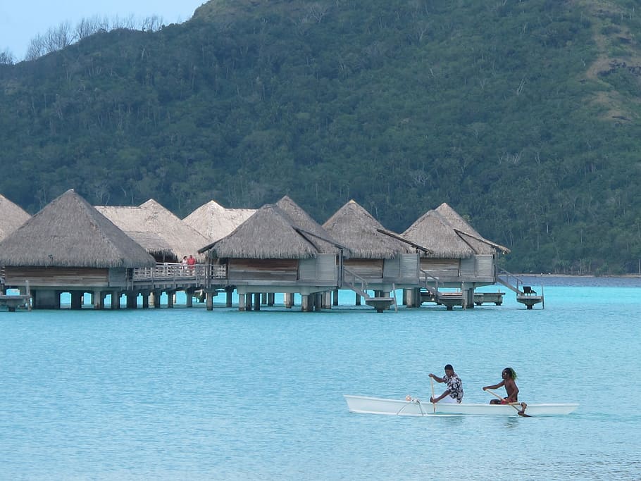 Huts, Beach, Bora Bora, Vacation, tourism, travel, beach huts HD wallpaper