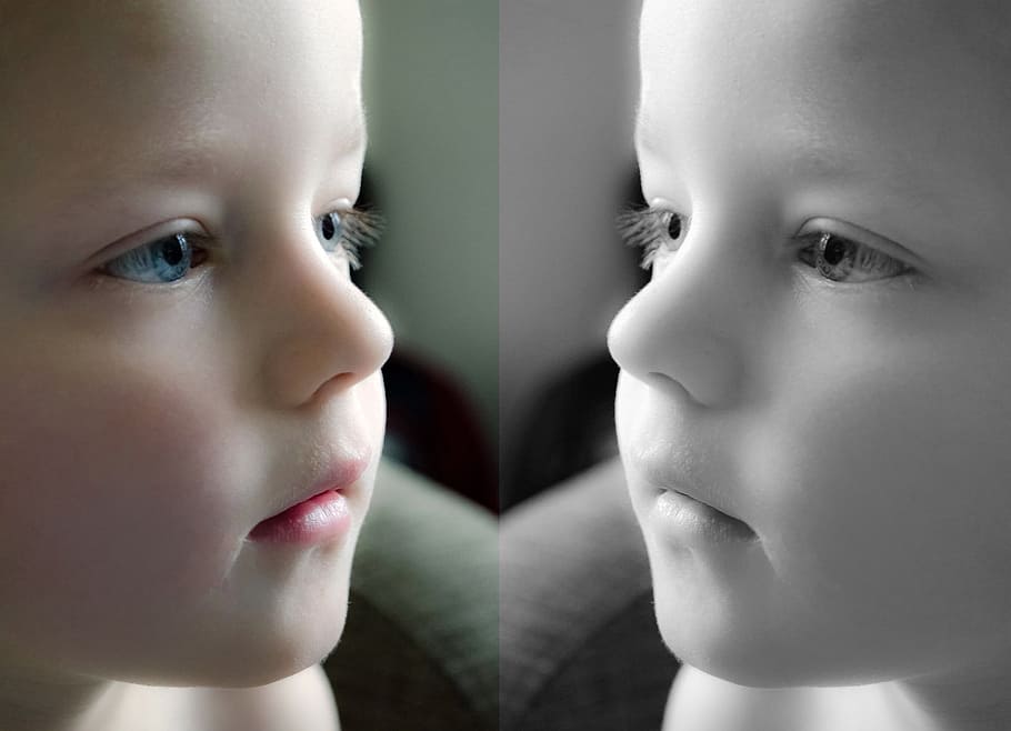 collage photo of toddler's in colored and black and white, boy HD wallpaper