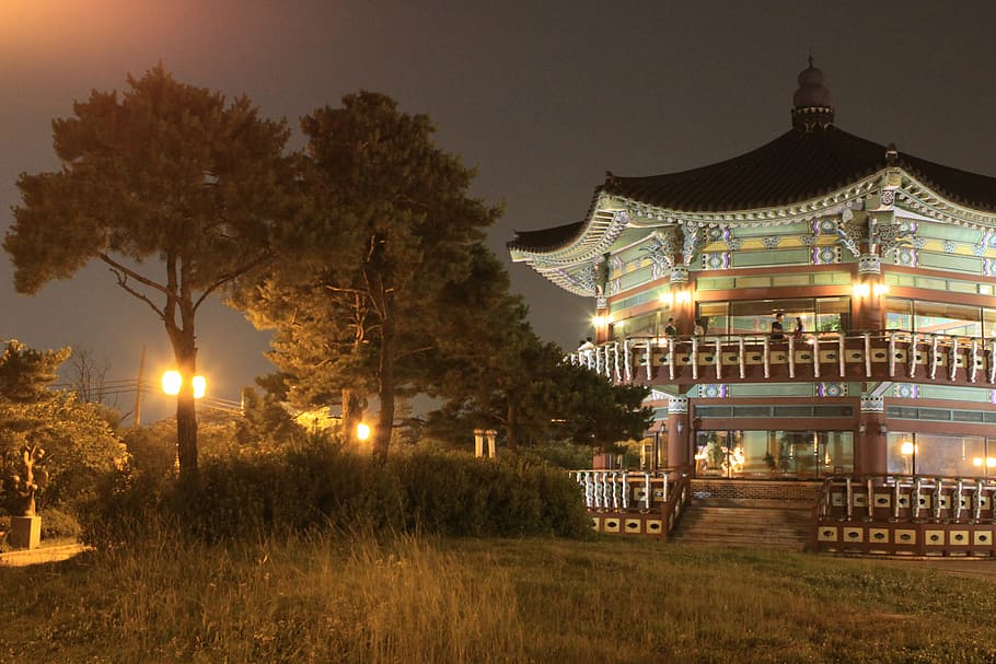 palgakjeong, cbd, night view, building, hill, illuminated, built structure HD wallpaper