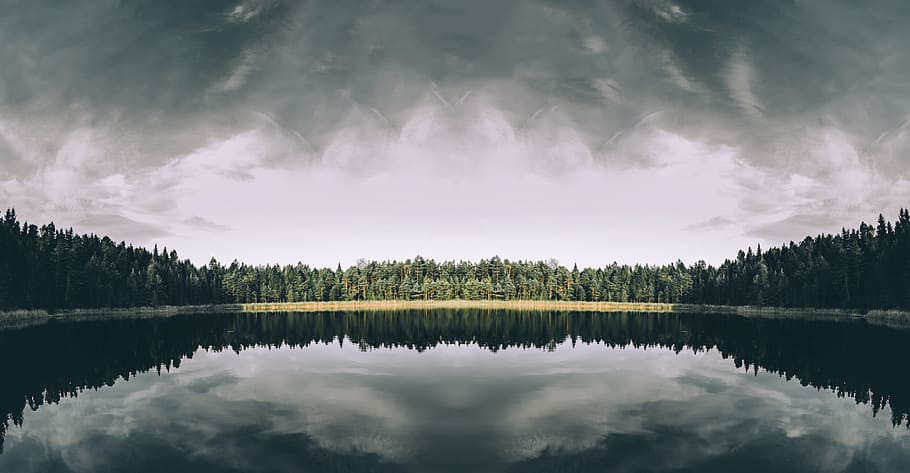body of water surrounded by trees under the cloudy sky, green forest on body of waters during daytime HD wallpaper