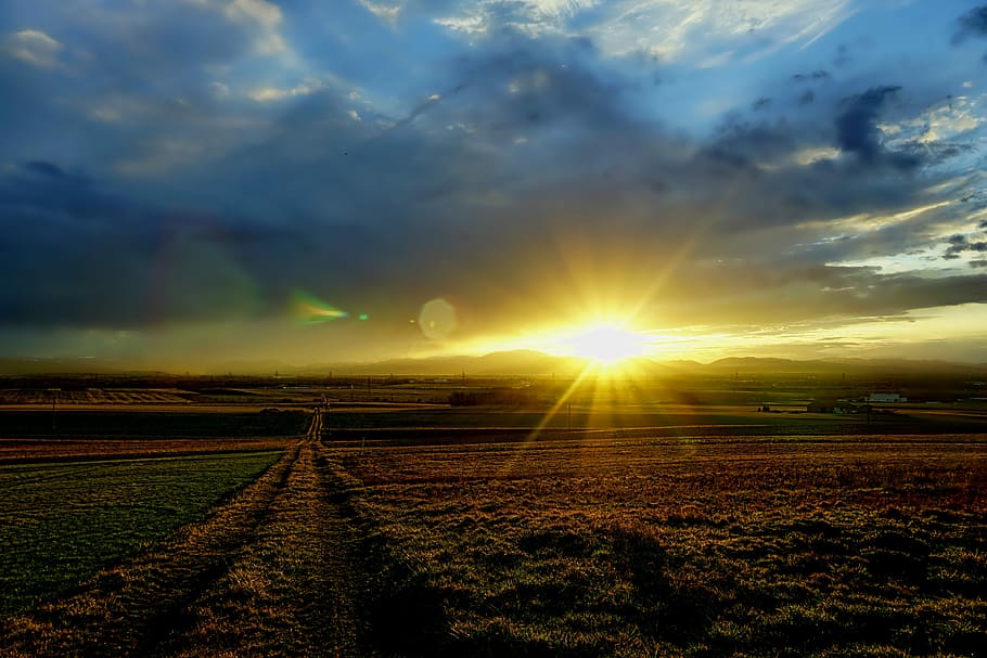 green grass field, sunset, landscape, nature, dusk, sky, cloud - sky HD wallpaper
