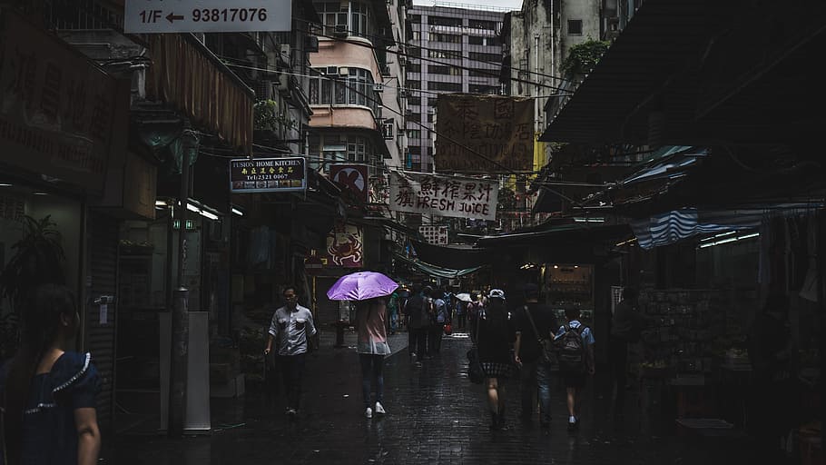 photography of people walk during rain, woman standing in between of high-rise buildings while holding purple umbrella