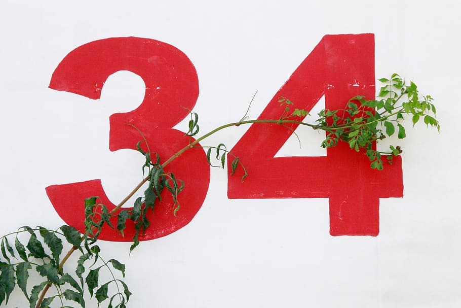 white, wall, numbers, branch, leaves, red, plant, leaf, no people HD wallpaper