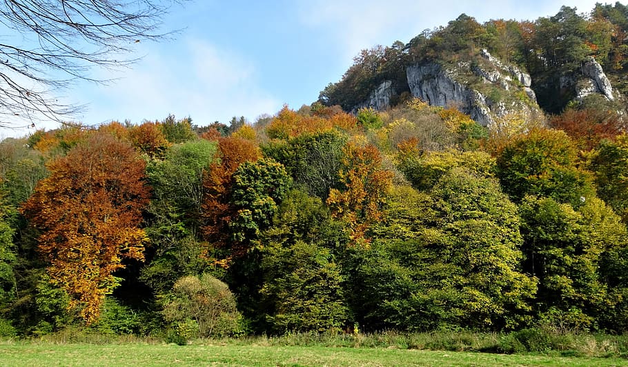 poland, rocks, tree, autumn, landscape, nature, the founding fathers HD wallpaper