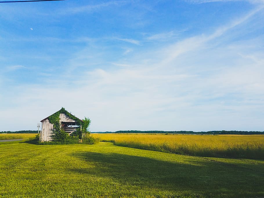 Pros of living far from the city, brown wooden barn house near grass field at daytime HD wallpaper