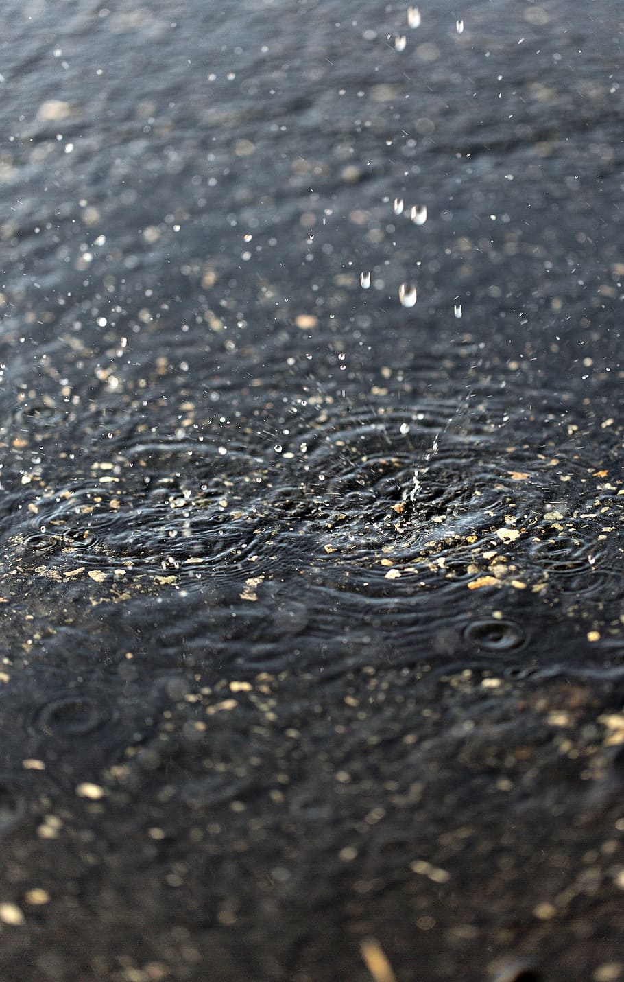 dripping, splash, water explosion, liquid, drop, flow, creativity HD wallpaper