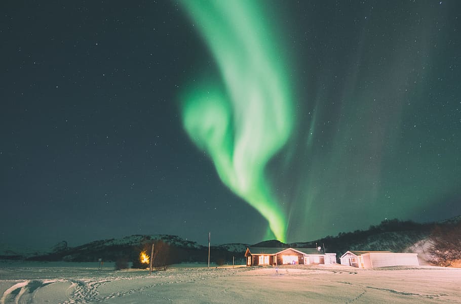aurora borealis during winter, green northern lights, something, HD wallpaper