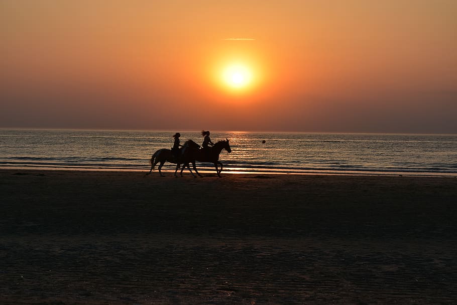 sunset, twilight, dawn, sea, sky, water, land, beach, horizon over water HD wallpaper