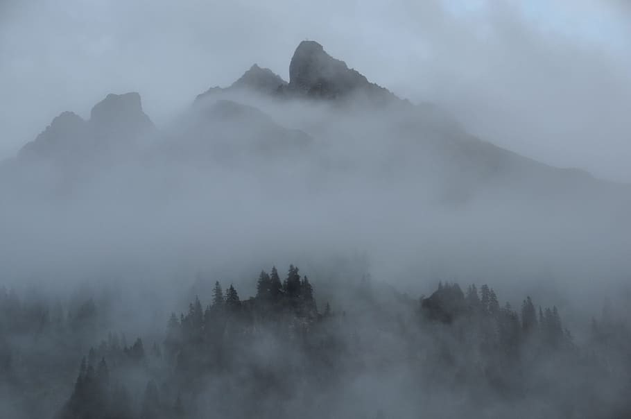 fog, clouds, mountains, forest, nature, landscape, mystical HD wallpaper