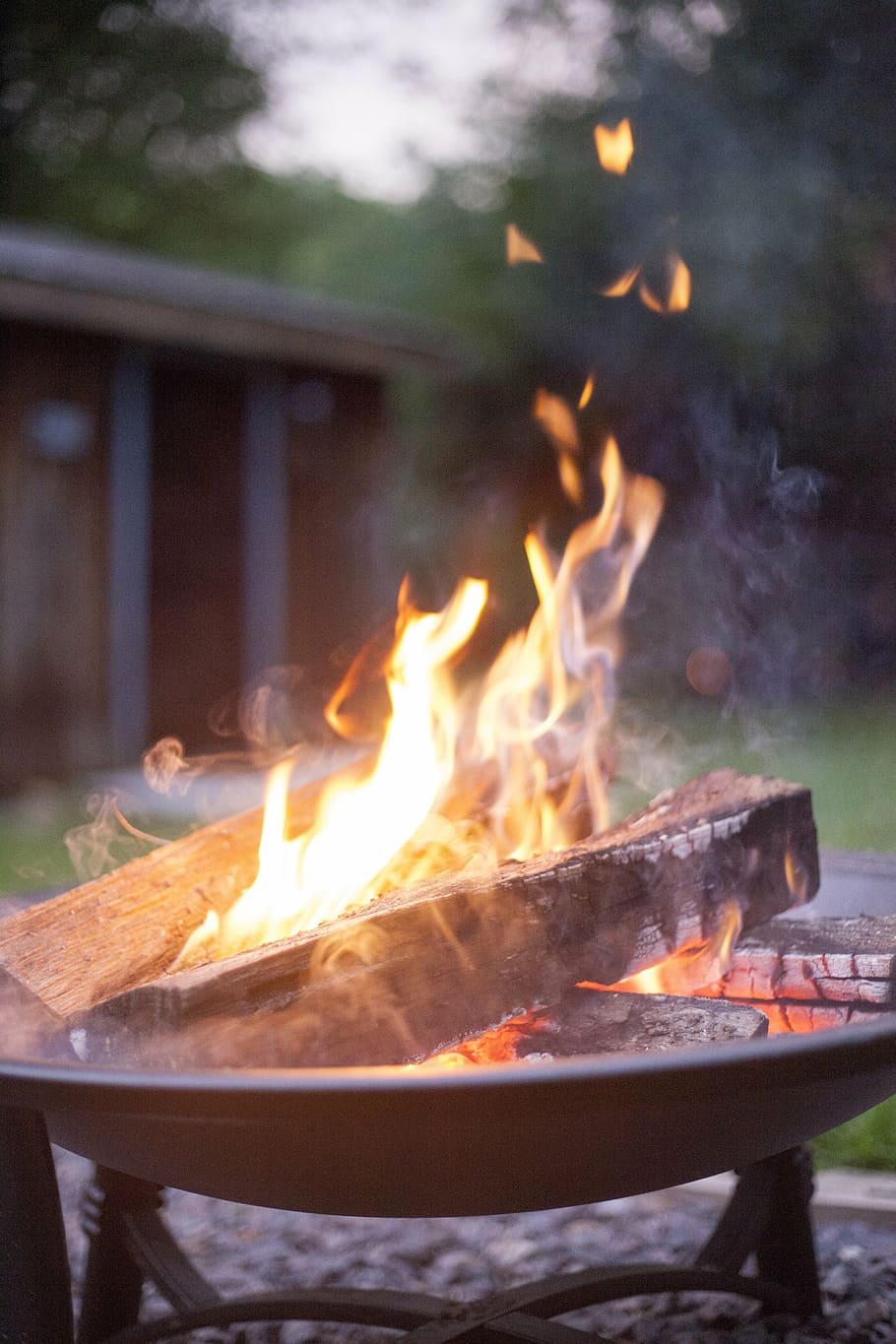 brown firewood burning on fire pit at daytime, camping, firepit HD wallpaper