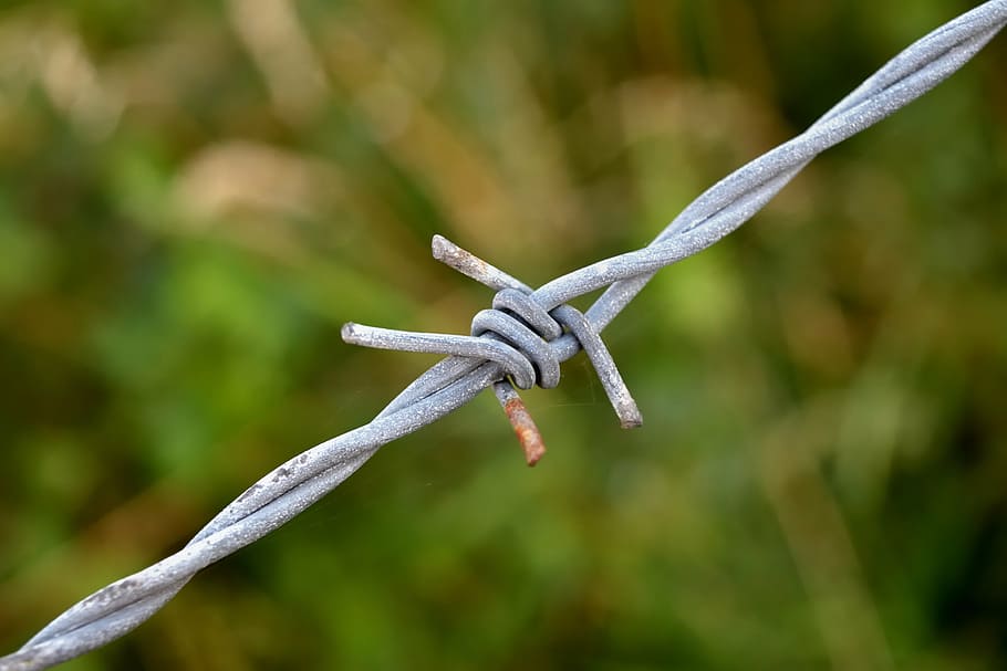 barbed wire, rust, node, focus on foreground, close-up, no people HD wallpaper
