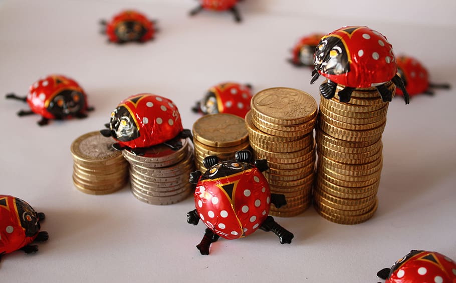 euro, coins, ladybug, chocolate, fritz, luck, lucky ladybug, HD wallpaper