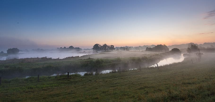 fog, river, lake, early morning, sunrise, bank, winter bushes, HD wallpaper