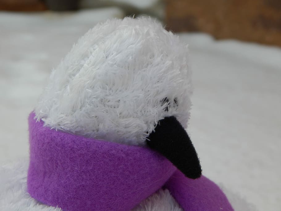 Bird, Winter, Beak, White, Scarf, Snow, cold, stuffed animal HD wallpaper