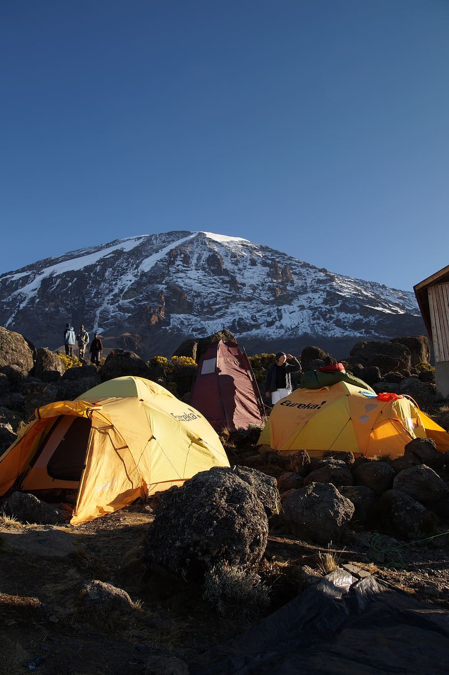 Find Cheap Flights Options to Mount Kilimanjaro - Google Flights
