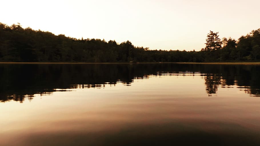 lake, water, reflection, nature, sky, trees, plants, dark, tranquility HD wallpaper