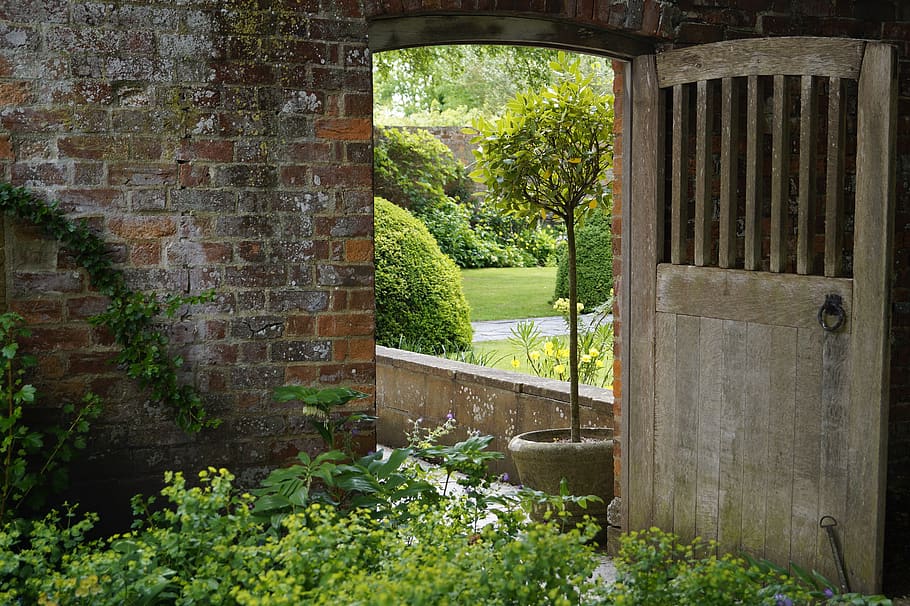 goal, passage, wall, garden, by looking, plant, tree, built structure HD wallpaper