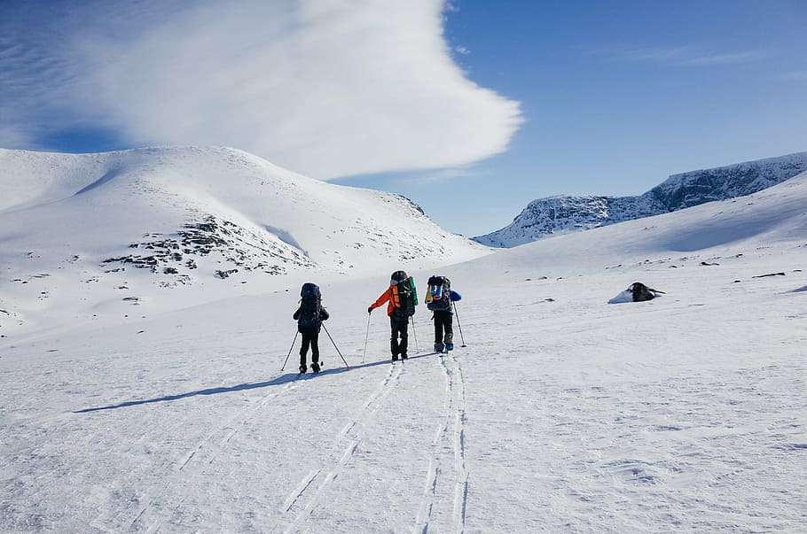 group of people playing snow skis and holding ski poles, adventure HD wallpaper