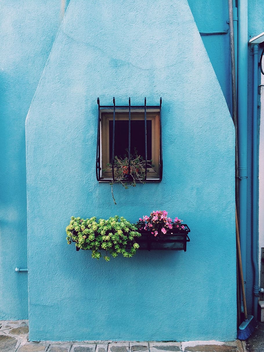 flowers beneath window, basket, pots, bars, blue, wall, house HD wallpaper