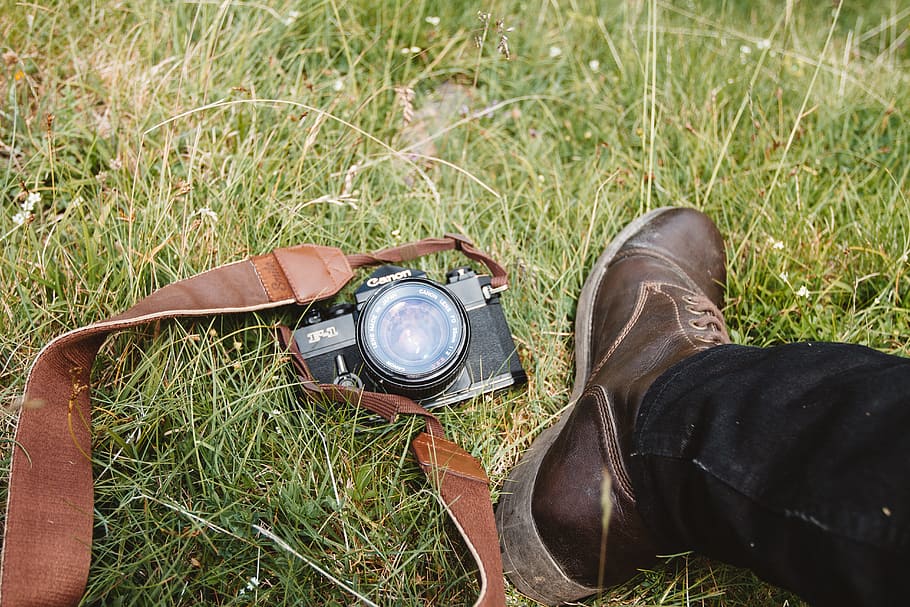 black MILC on green grass, person wearing leather boot near camera HD wallpaper