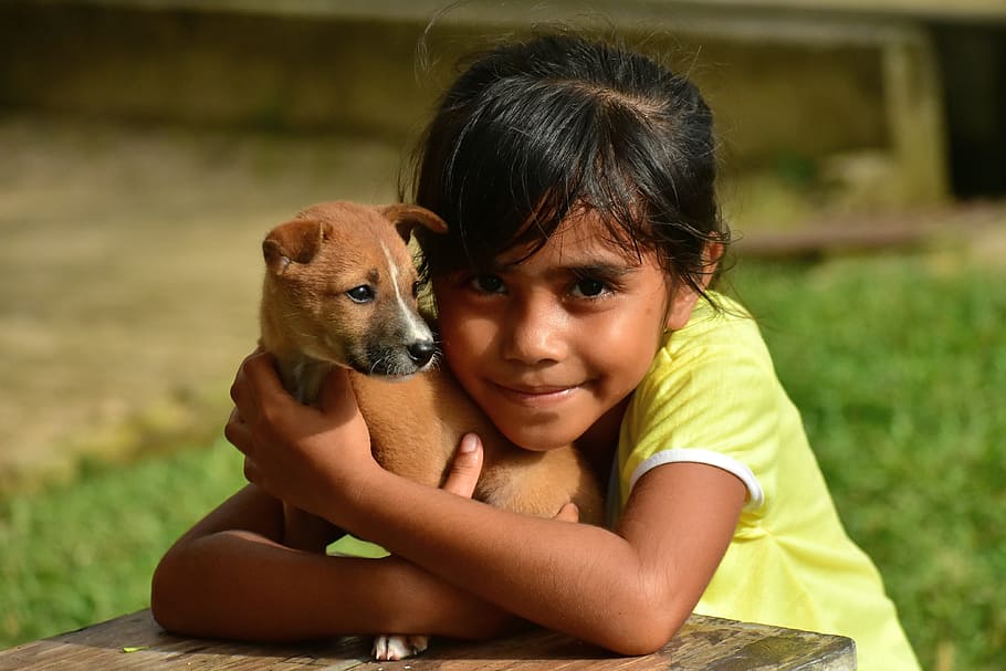 girl hugging puppy sitting on brown wooden table at daytime, little girl