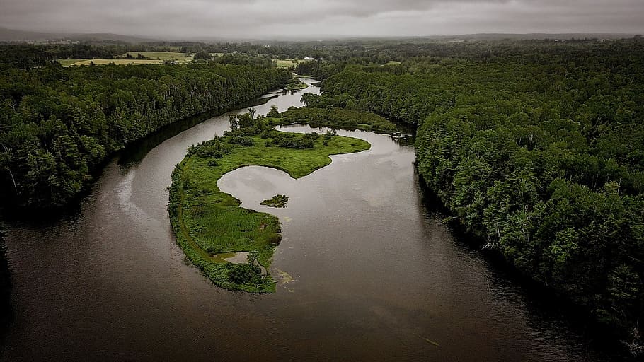 river, island, uav, drone, water, plant, green color, beauty in nature HD wallpaper