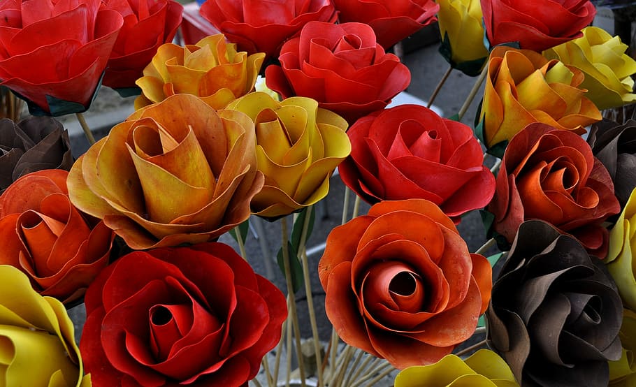 rose, flower, bouquet de fleurs, petal, gift, color, flowering plant, HD wallpaper