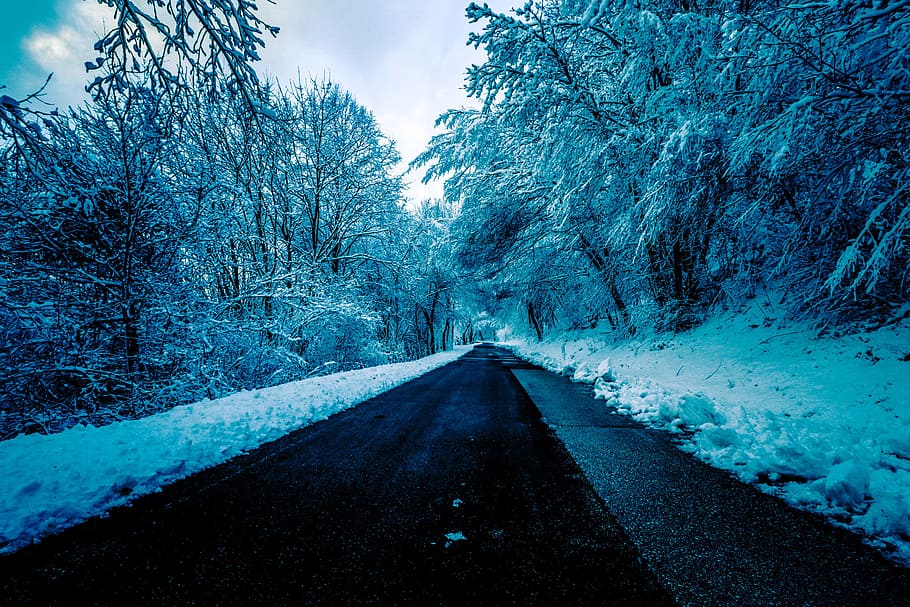 Black Concrete Road Surrounded by Trees With Snow, adventure HD wallpaper