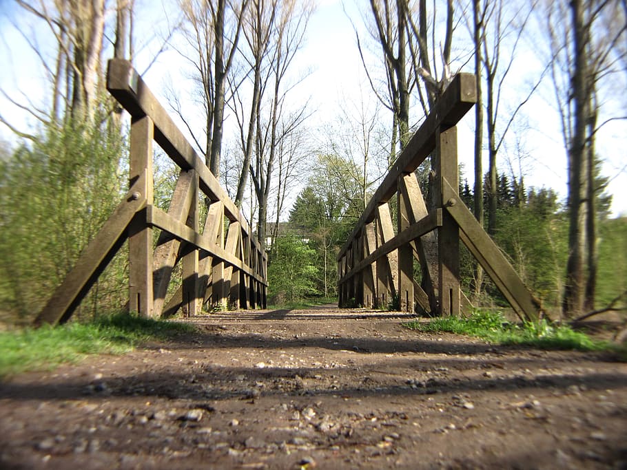 bridge, forest, forest path, nature, on the go, idyll, away HD wallpaper