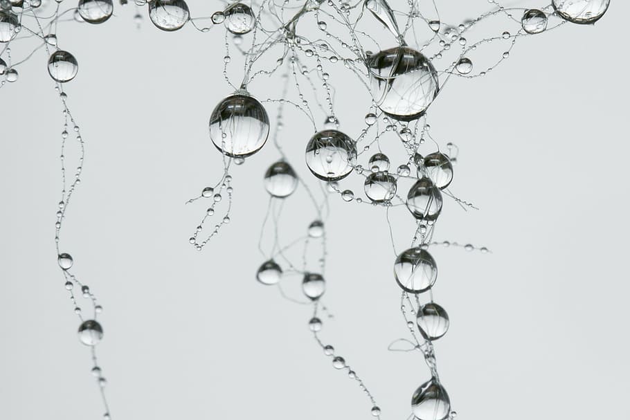 water bubbles, drop, network, synapse, pearl, gray, raindrop HD wallpaper