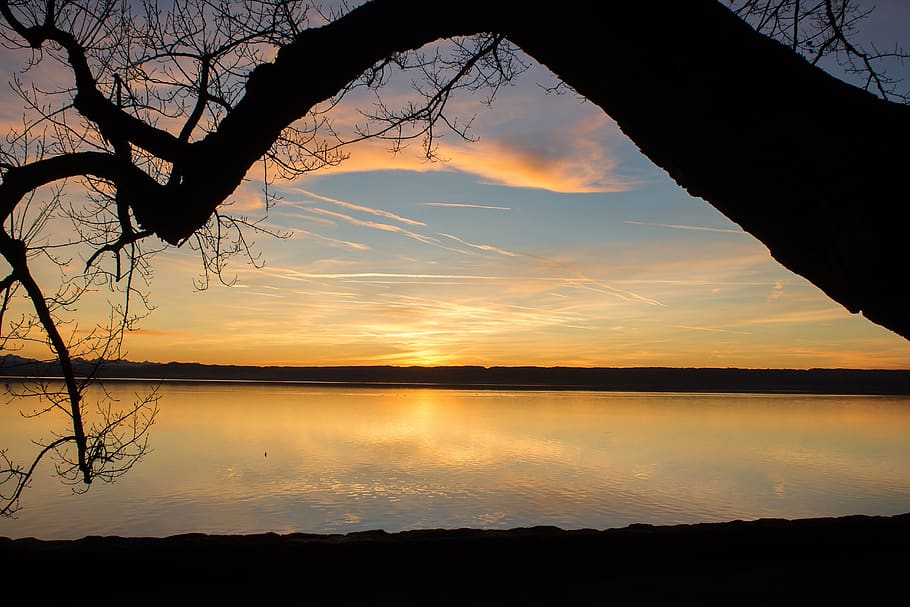 tree, nature, landscape, romantic, atmospheric, clouds, sky HD wallpaper