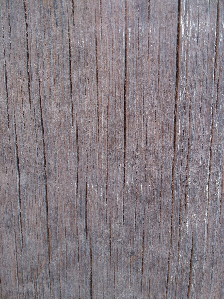 Texture, Wood, Tree, Bark, Nature, Old, old wood, backgrounds HD wallpaper