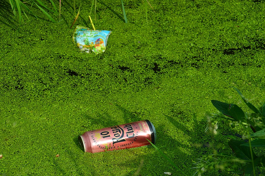 waste, pollution, trash, nature, bulk, cans, drink, garbage HD wallpaper