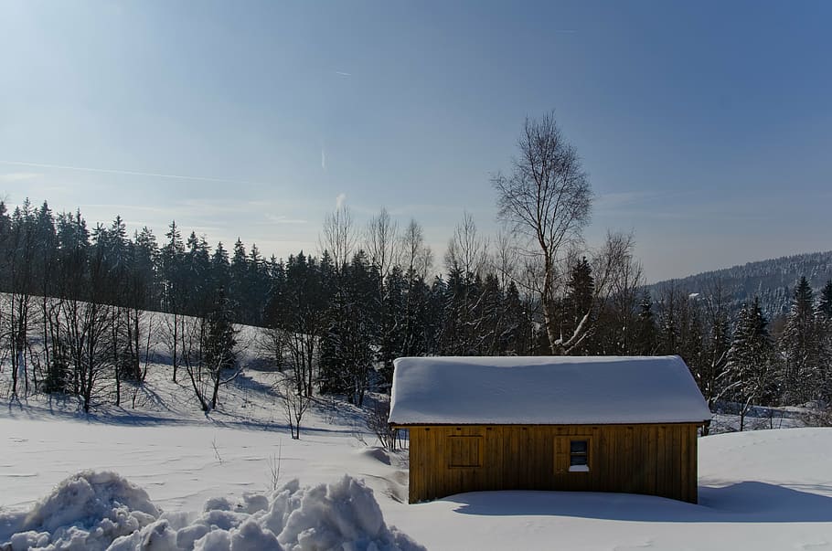 hut, snow, winter, forest, nature, home, wood, vacation, roof HD wallpaper