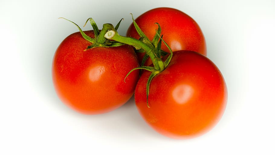 tomato, tomatoes, vegetable, red, food, healthy, kitchen, cook HD wallpaper