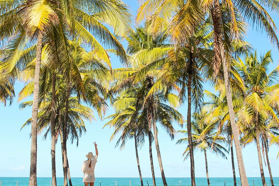 woman raising right hand while doing peace hand gesture, woman in white top and sun hat under coconut palm trees
