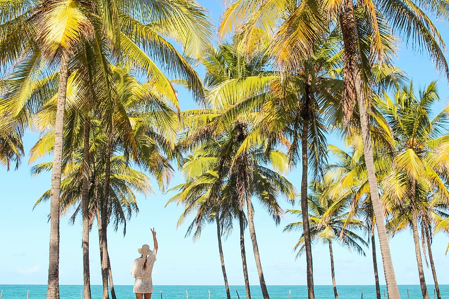 woman raising right hand while doing peace hand gesture, woman in white top and sun hat under coconut palm trees HD wallpaper
