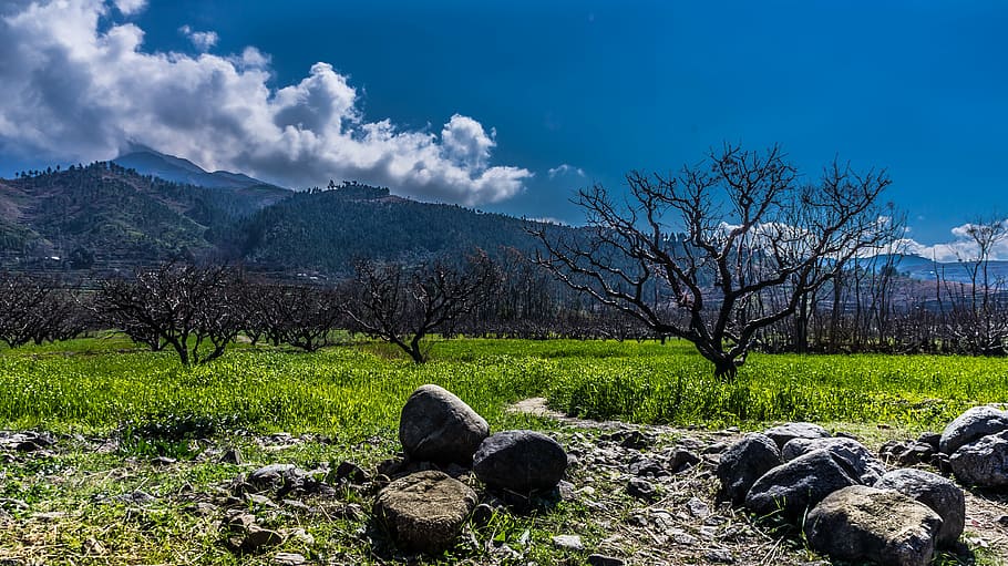 countryside, environment, field, grass, landscape, mountain HD wallpaper