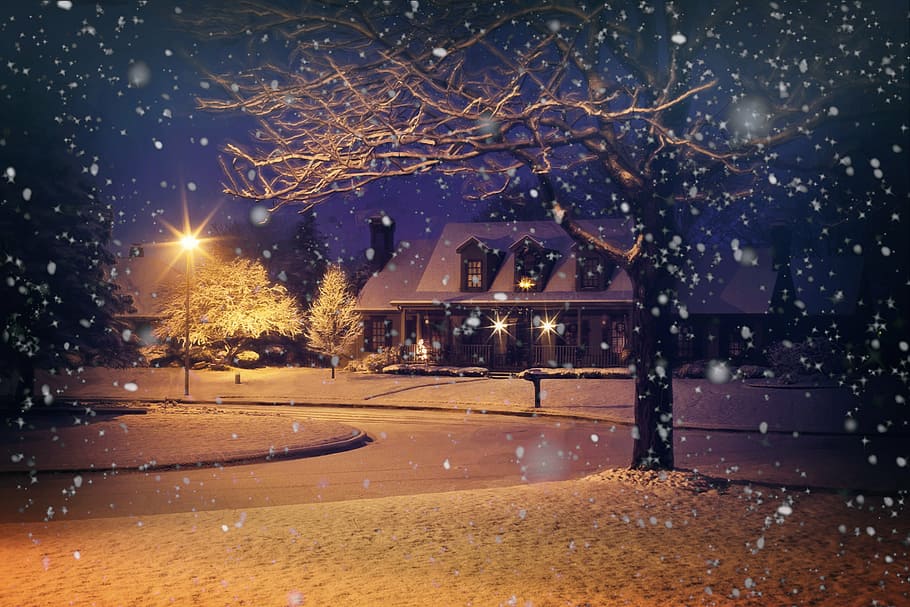 brown bare tree and brown house painting, midnight snow, snowy, HD wallpaper