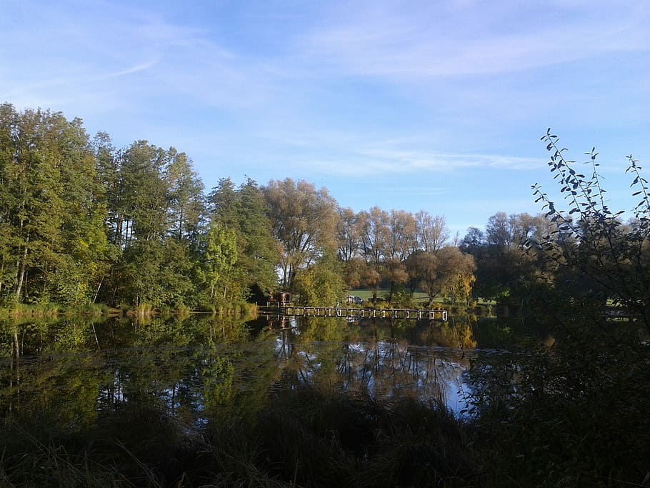Nature, Lake, Mirrored, Trees, mirrored trees, reflection, no people HD wallpaper
