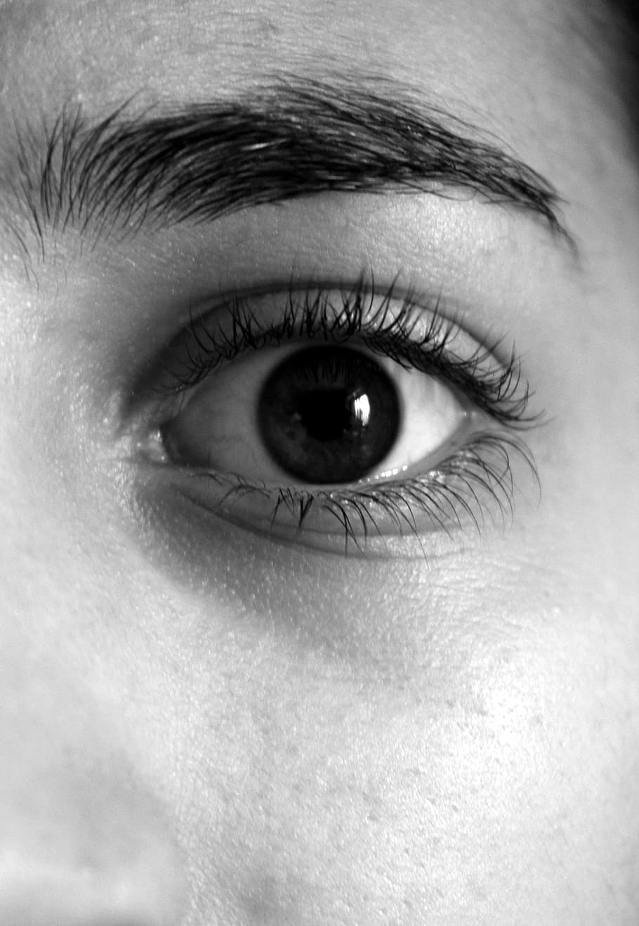 person showing eye, eyebrows, eyelashes, face, human eye, human body part HD wallpaper
